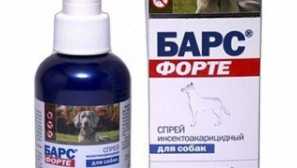 Баркенски производи за борба против болви во кучиња и мачки